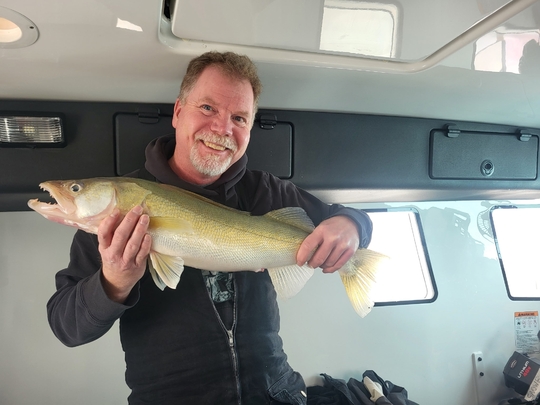 Walleye