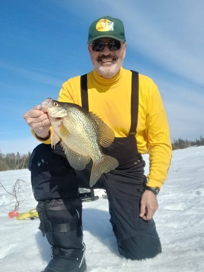 Black Crappie