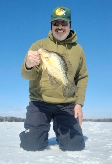 Black Crappie