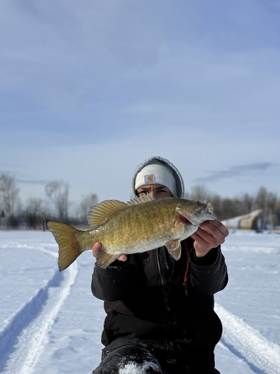 Smallmouth Bass