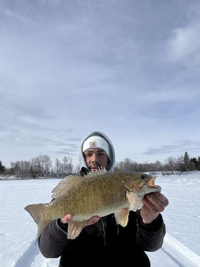Smallmouth Bass