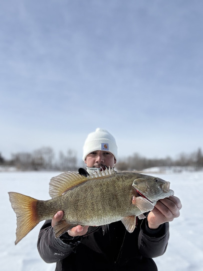 Smallmouth Bass