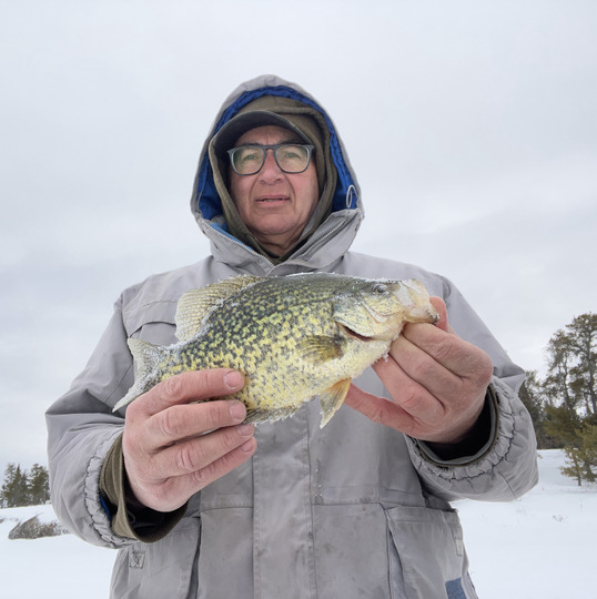 Black Crappie