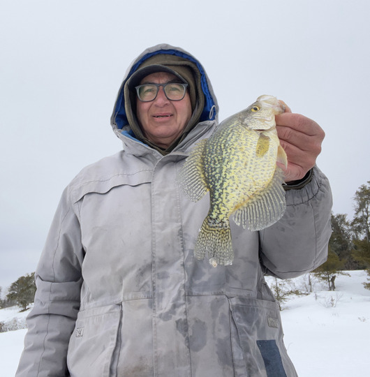 Black Crappie