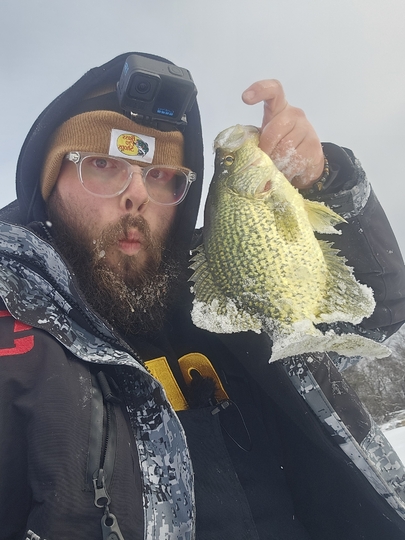 Black Crappie
