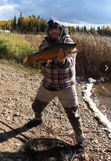 Tiger Trout