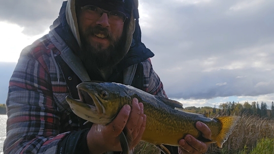 Tiger Trout