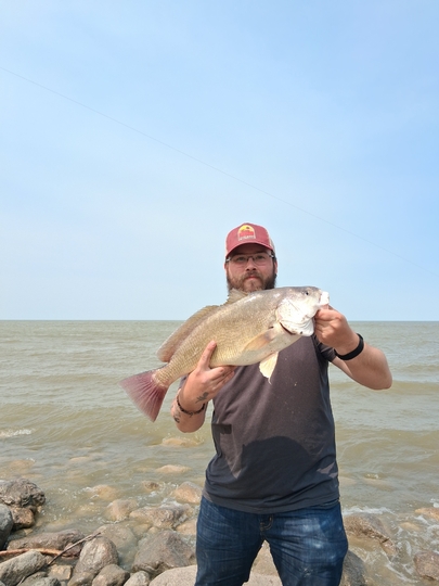 Freshwater Drum