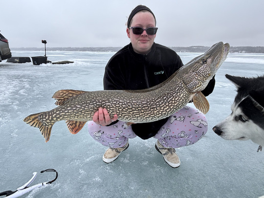Northern Pike