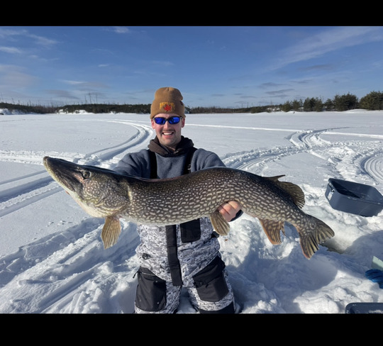 Northern Pike