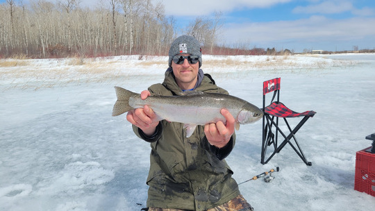 Rainbow Trout