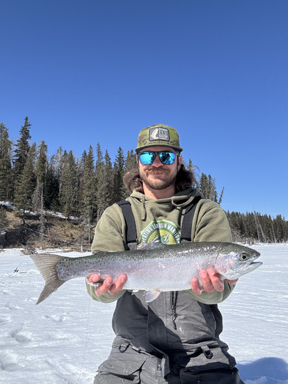 Rainbow Trout