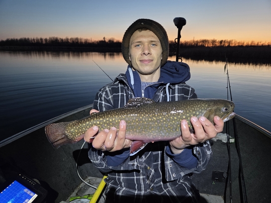 Brook Trout