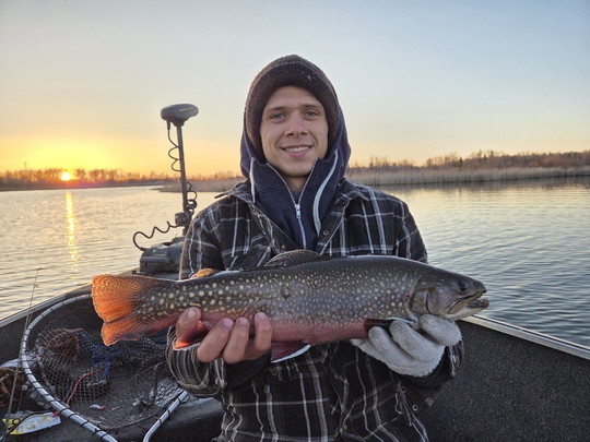 Brook Trout