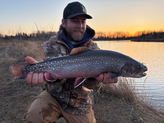 Brook Trout