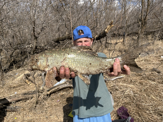 Sucker