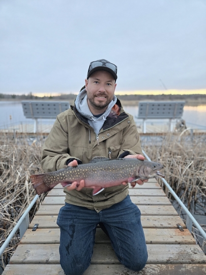 Brook Trout