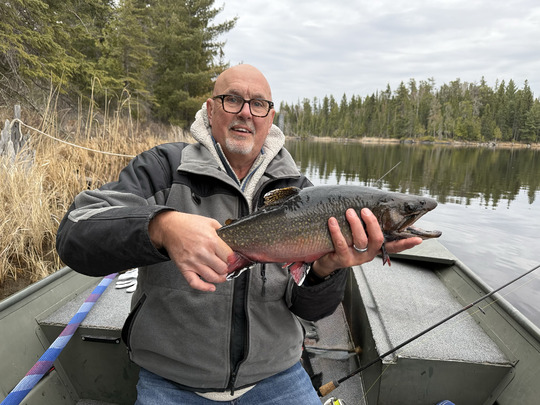 Brook Trout
