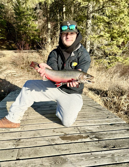 Brook Trout