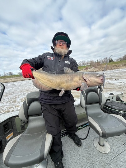 Channel Catfish