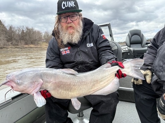 Channel Catfish