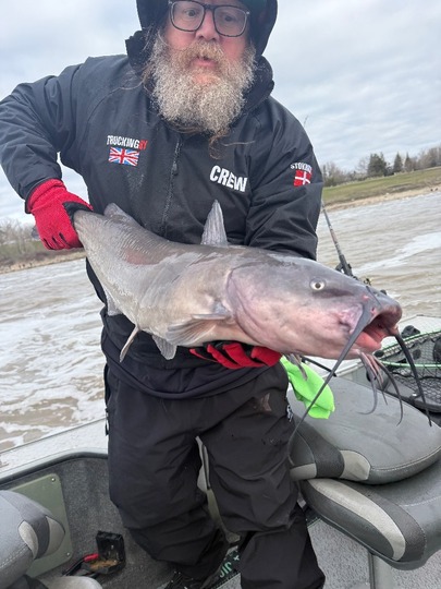 Channel Catfish