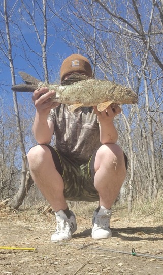 Sucker
