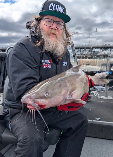 Channel Catfish