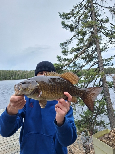 Smallmouth Bass