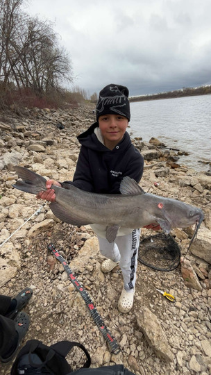 Channel Catfish