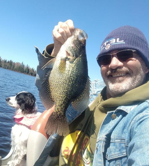 Black Crappie