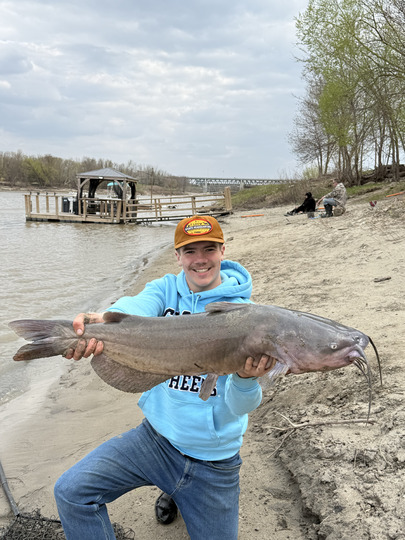 Channel Catfish