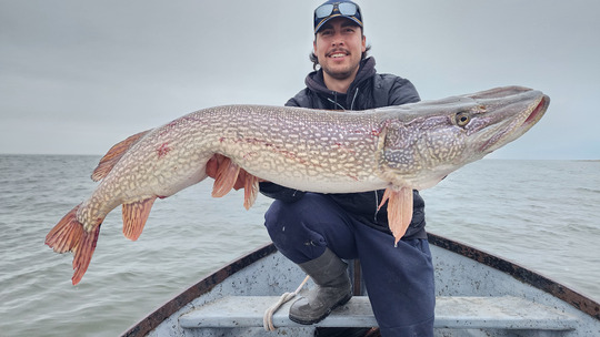 Northern Pike