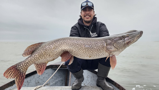 Northern Pike