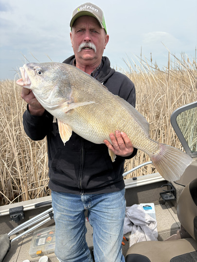 Freshwater Drum
