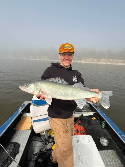 Walleye