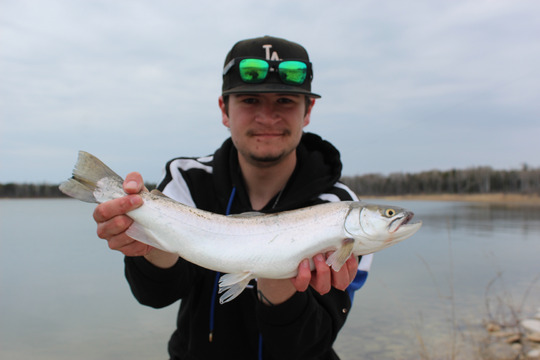 Tiger Trout