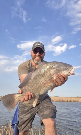 Freshwater Drum