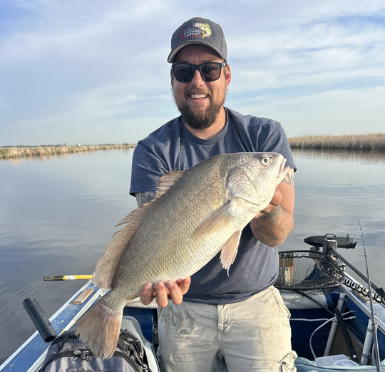 Freshwater Drum