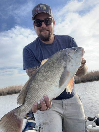 Freshwater Drum