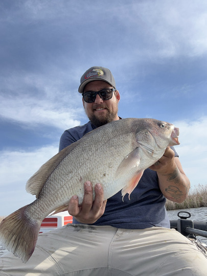 Freshwater Drum