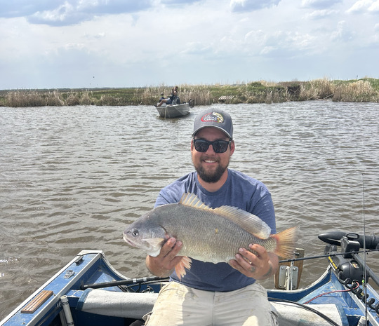 Freshwater Drum