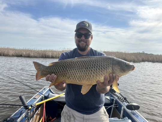 Common Carp