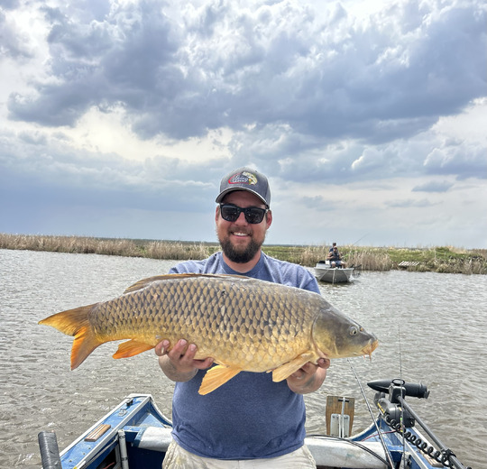 Common Carp