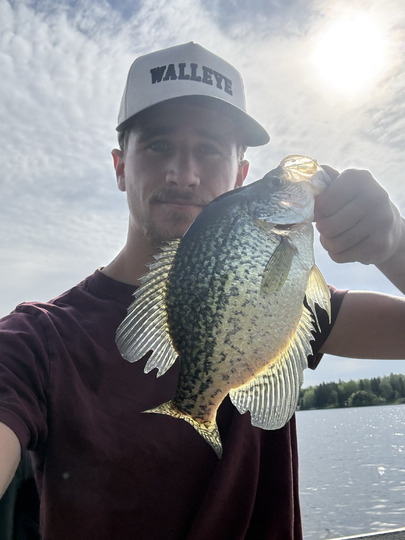 Black Crappie