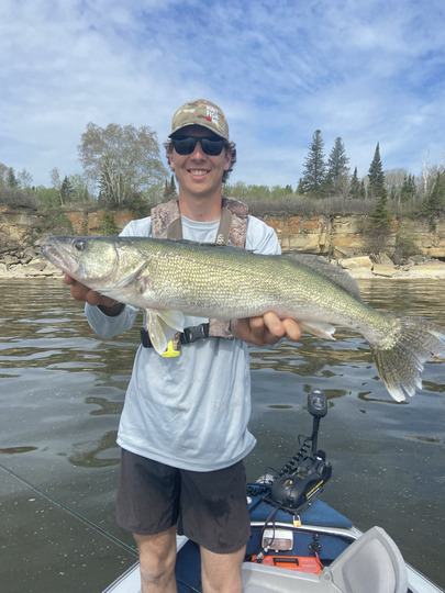 Walleye
