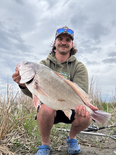 Freshwater Drum