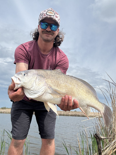 Freshwater Drum