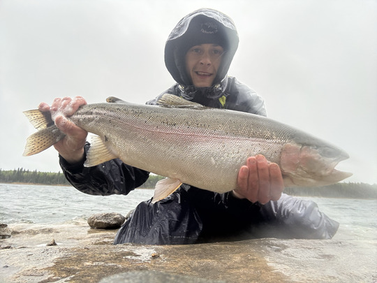 Rainbow Trout
