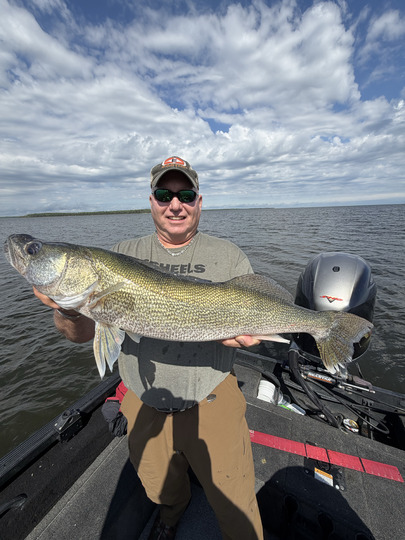 Walleye